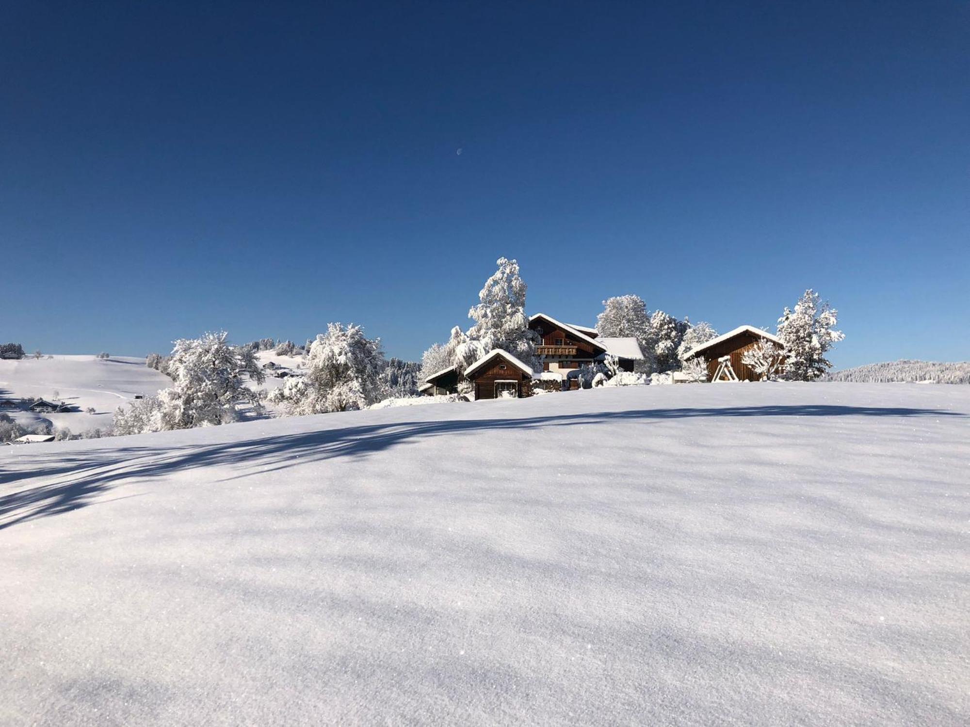 Ferienwohnung Aigisblick Mit Pool Und Sauna, Direkt Am Skihang Missen-Wilhams Exterior foto